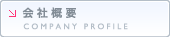 ЊTv