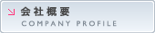 ЊTv